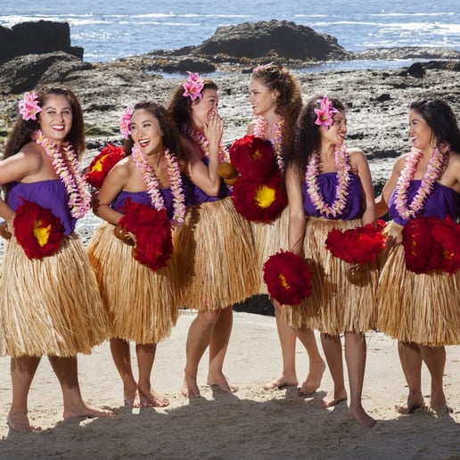 Gallery photo 21 of Mahana Dance Company & Catering
