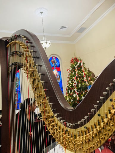 Gallery photo 7 of Suzanne Ballam, harpist