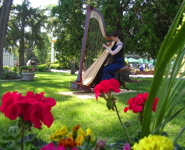 Gallery photo 8 of Suzanne Ballam, harpist
