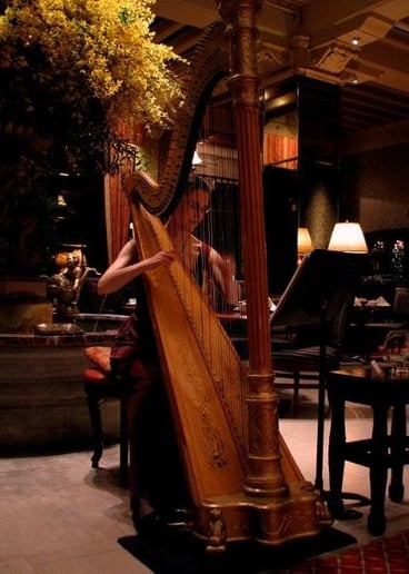 Gallery photo 9 of Suzanne Ballam, harpist