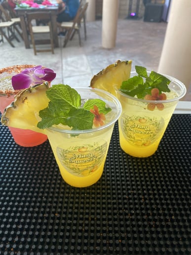 Gallery photo 5 of Main Squeeze Mobile Bar