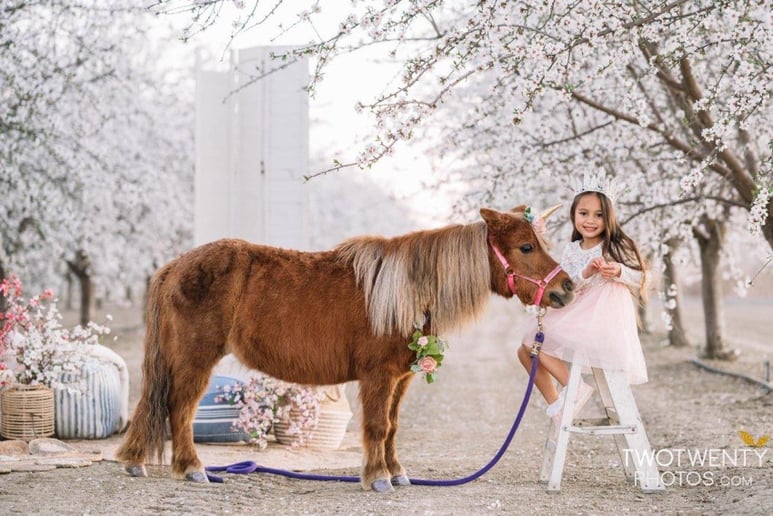 Gallery photo 2 of Main Stage PIX