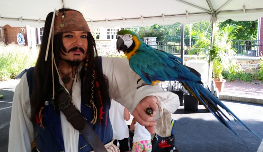Gallery photo 66 of MainDeckProductions-Pirate Entertainment