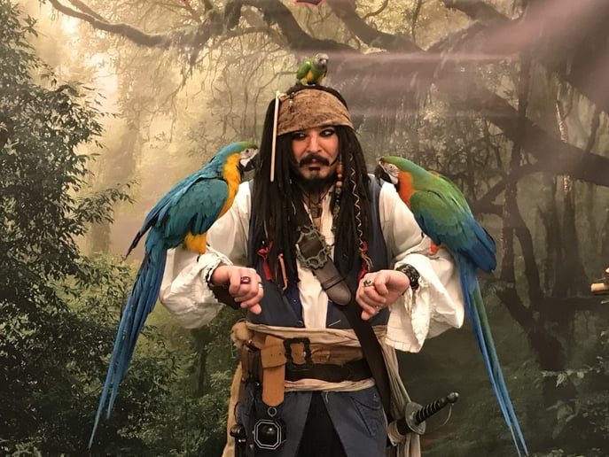 Gallery photo 72 of MainDeckProductions-Pirate Entertainment