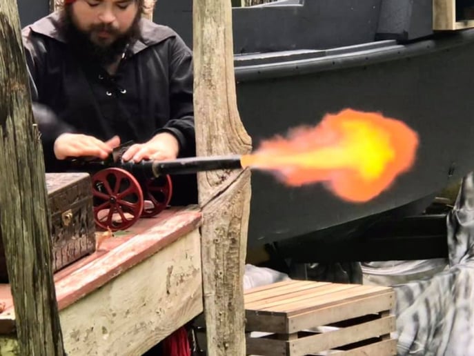 Gallery photo 82 of MainDeckProductions-Pirate Entertainment