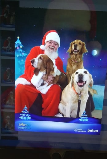 Gallery photo 9 of Central Maine Santa