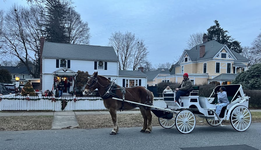 Gallery photo 2 of Mainely Drafts Horse and Carriage