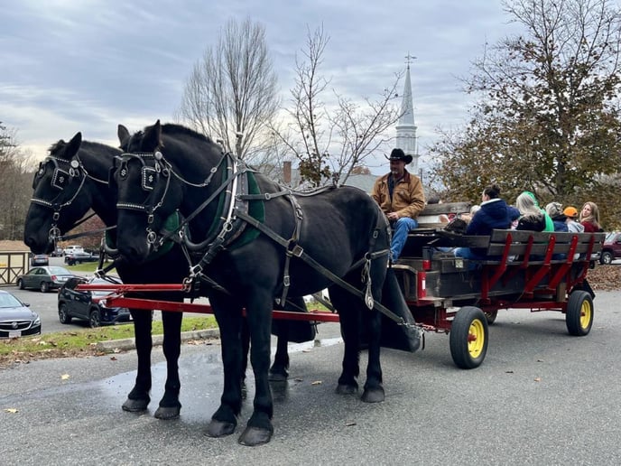 Gallery photo 3 of Mainely Drafts Horse and Carriage