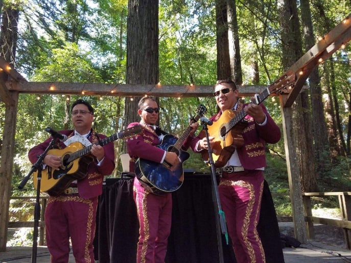 Gallery photo 14 of Mariachi Trio El Mexicano