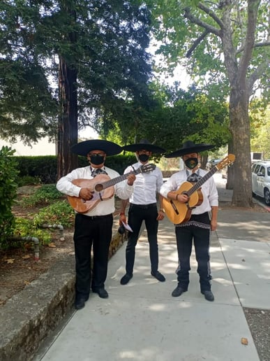 Gallery photo 2 of Mariachi Trio El Mexicano