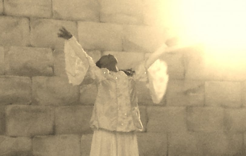 Gallery photo 6 of Majestic Praise