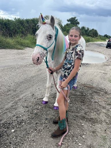 Gallery photo 2 of Majestic Raynes