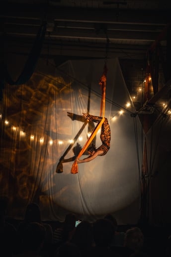 Gallery photo 7 of Makenzie_Aerials