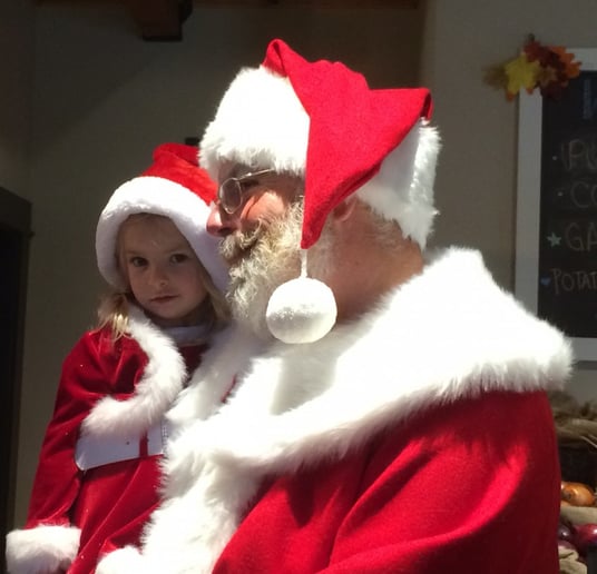 Gallery photo 2 of Maker of Merriment -- Santa Ralph