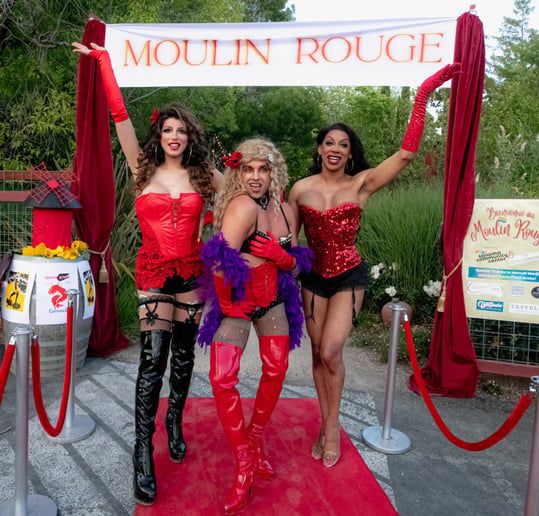 Gallery photo 20 of Male Belly Dancer With Circus