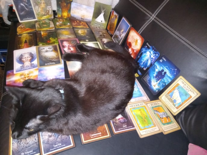 Gallery photo 20 of Malika Baraka -  Tarot & Oracle