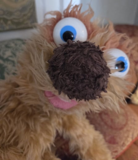 Gallery photo 3 of Mama Ruthie & Fuzzy the Puppet's Stories