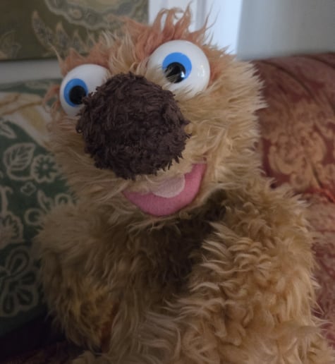 Gallery photo 4 of Mama Ruthie & Fuzzy the Puppet's Stories