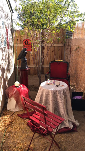 Gallery photo 3 of Mamma J's Magical Guidance