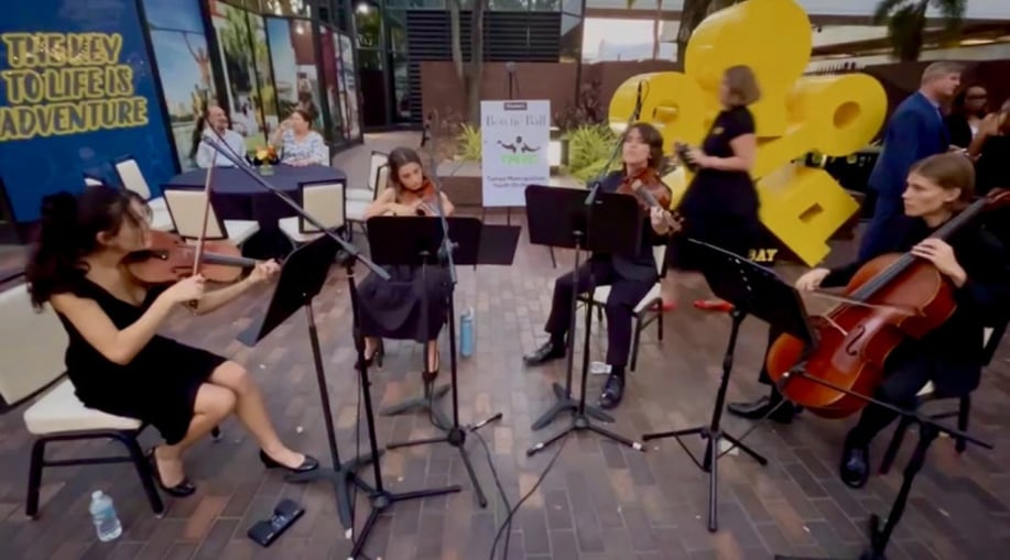 Gallery photo 2 of Mana Violin — Weddings & Events