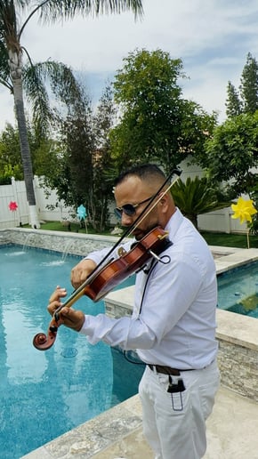 Gallery photo 3 of Mao Violin Entertainment