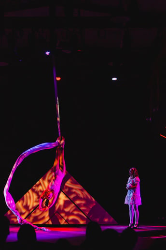 Gallery photo 9 of Maria Sample Circus