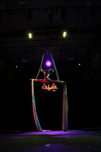 Gallery photo 3 of Maria Sample Circus