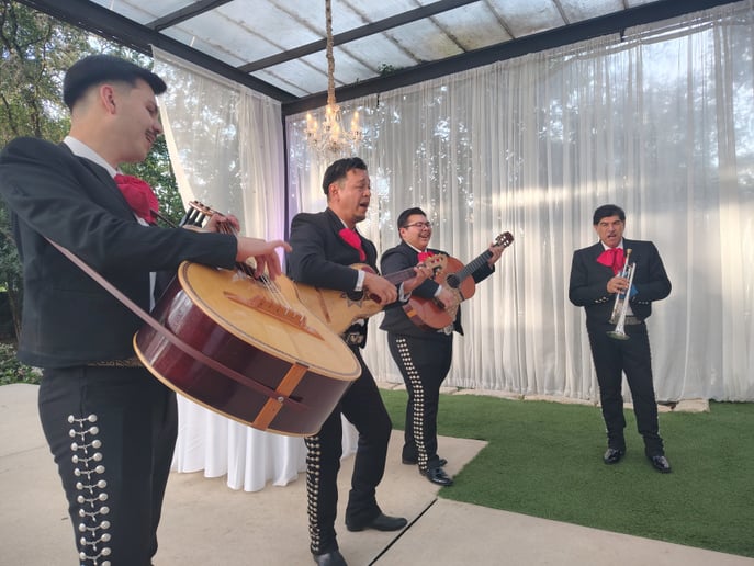 Gallery photo 3 of Mariachi Alma de Jalisco