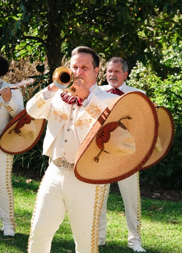 Gallery photo 13 of Mariachi America Canta