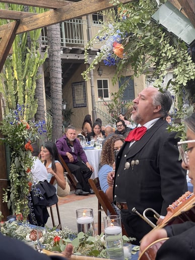 Gallery photo 8 of Mariachi Anacatlan