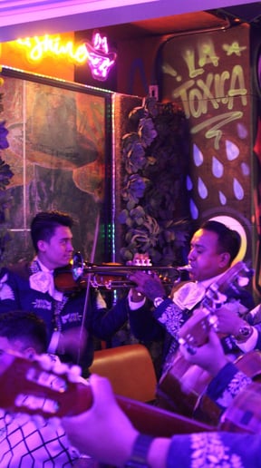 Gallery photo 3 of Mariachi Band Mexican Folklore