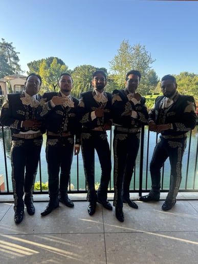 Gallery photo 5 of Mariachi King