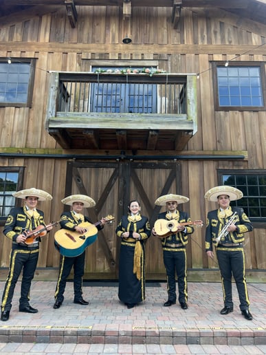 Gallery photo 6 of Mariachi Band Show Mexicanisimo