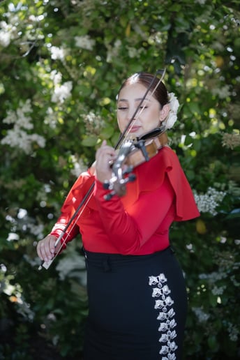 Gallery photo 3 of Mariachi Bohemio
