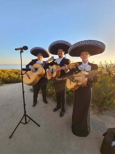 Gallery photo 2 of Mariachi Canciones De Mi Tierra