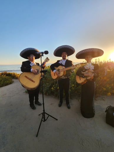 Gallery photo 3 of Mariachi Canciones De Mi Tierra