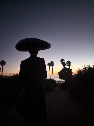 Gallery photo 4 of Mariachi Canciones De Mi Tierra