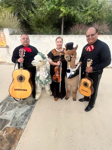 Gallery photo 20 of Mariachi Jazmin