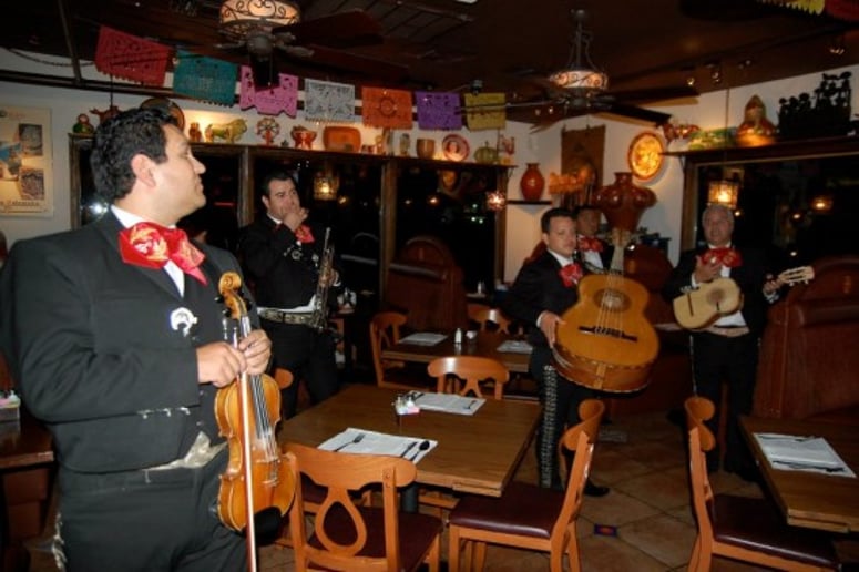 Gallery photo 18 of Mariachi de Mexico