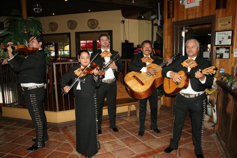 Gallery photo 32 of Mariachi de Mexico