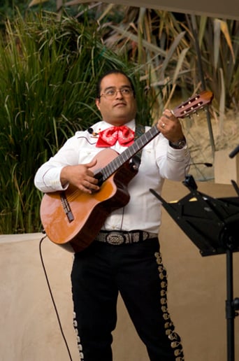 Gallery photo 1 of Mariachi Romanza