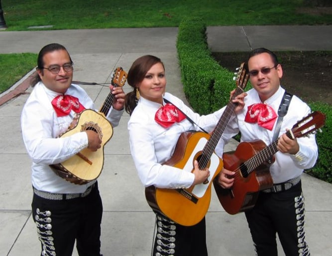 Gallery photo 24 of Mariachi Romanza
