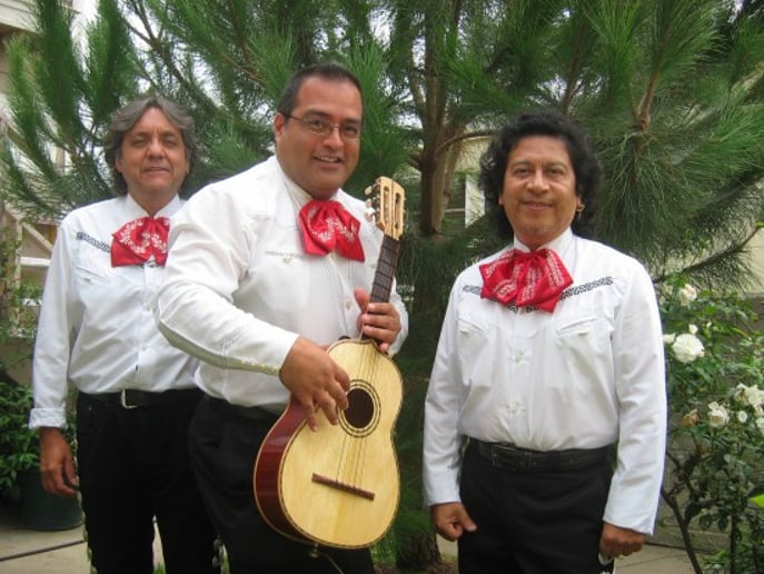 Gallery photo 31 of Mariachi Romanza