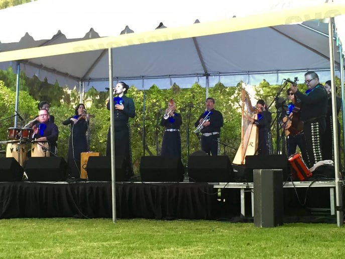 Gallery photo 43 of Mariachi Romanza