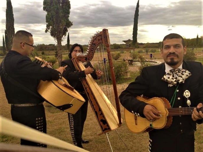 Gallery photo 22 of Mariachi Melodias De Mexico