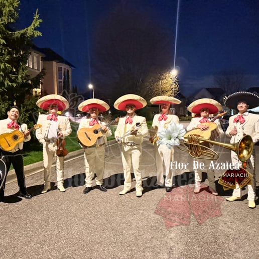 Gallery photo 1 of Mariachi Flor de Azalea