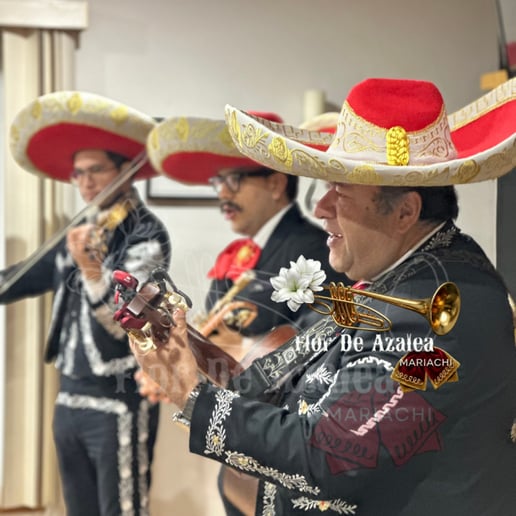 Gallery photo 4 of Mariachi Flor de Azalea