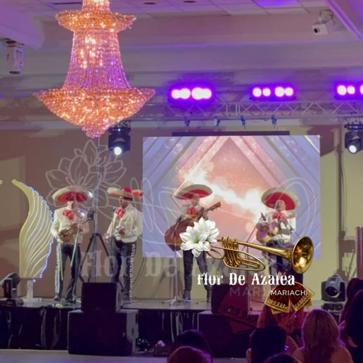 Gallery photo 5 of Mariachi Flor de Azalea