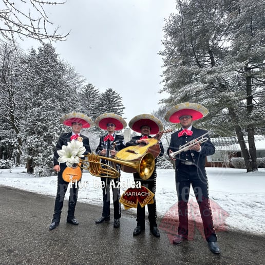 Gallery photo 6 of Mariachi Flor de Azalea
