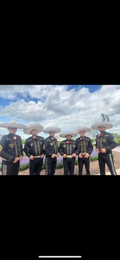 Gallery photo 1 of Mariachi Jalisco